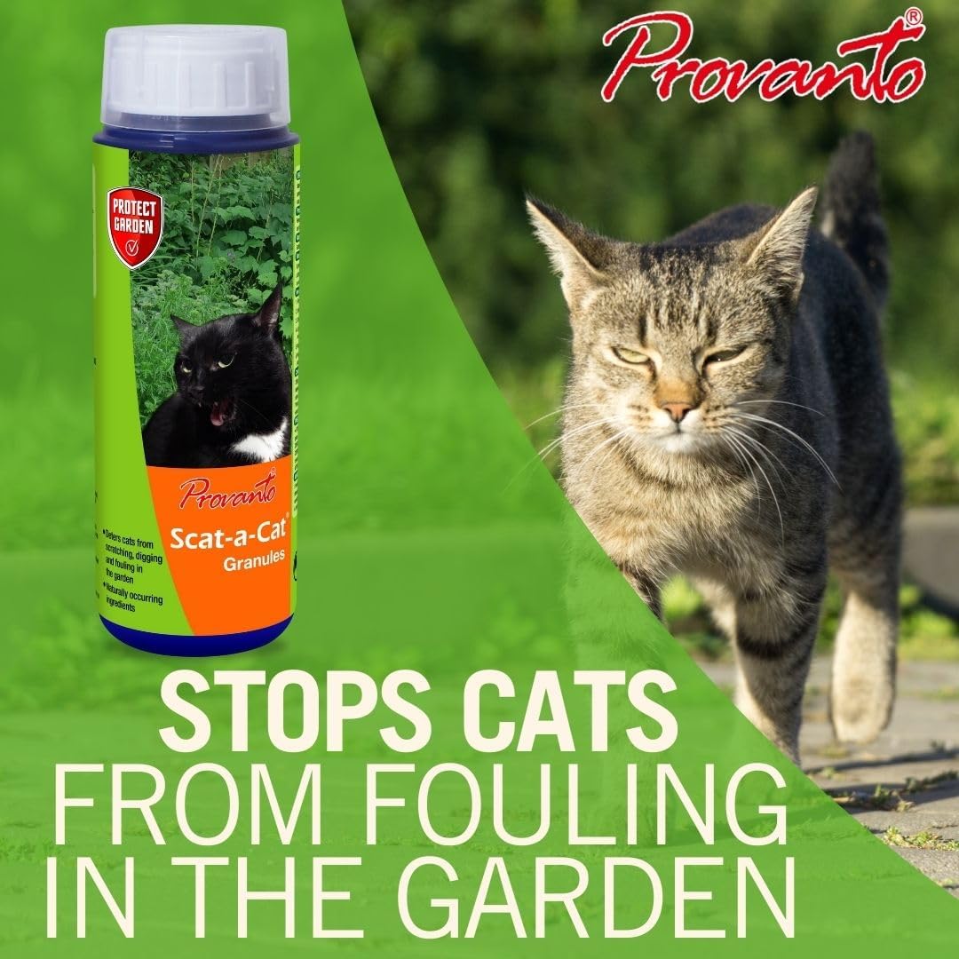 Protect Garden Scat-A-Cat