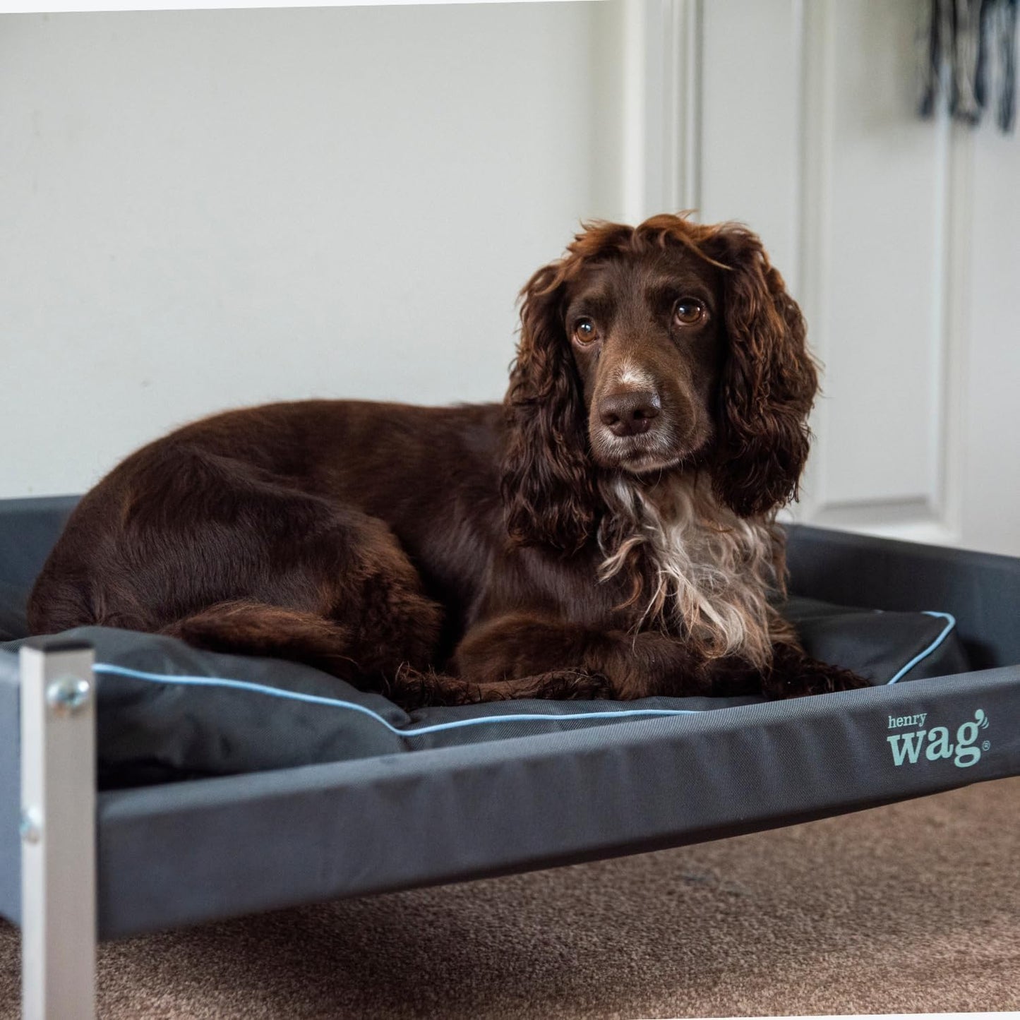 Henry Wag Elevated Dog Bed