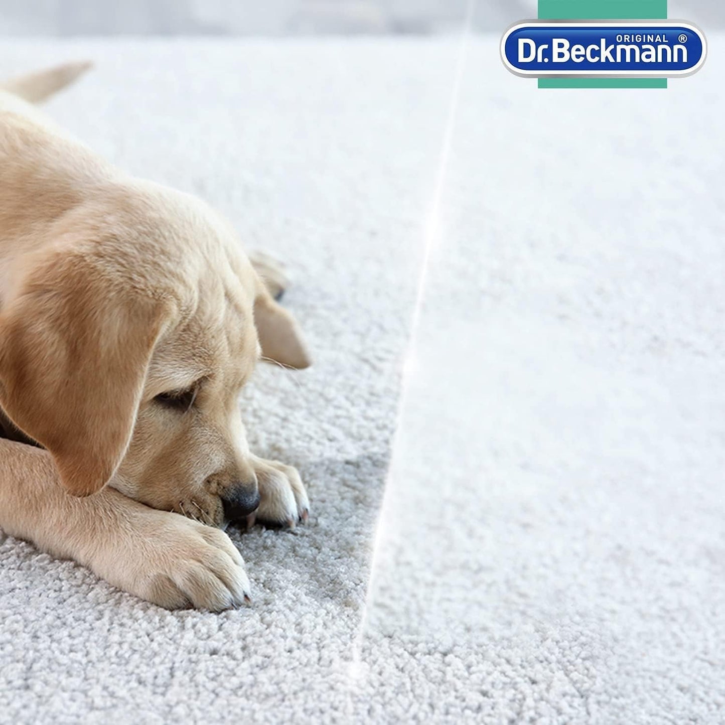 Dr Beckmann Pet Stain & Odour Remover