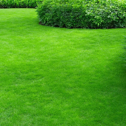 Miracle-Gro® Peat Free Lawn Dressing