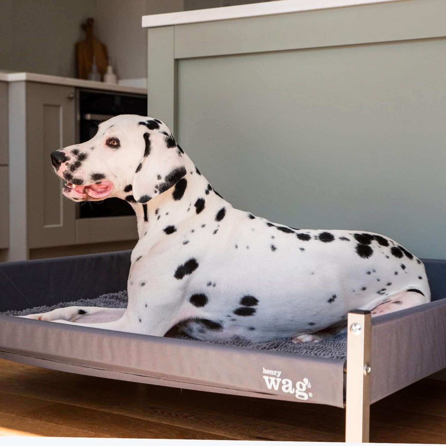 Henry Wag Elevated Dog Bed