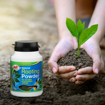 Doff Natural Rooting Powder