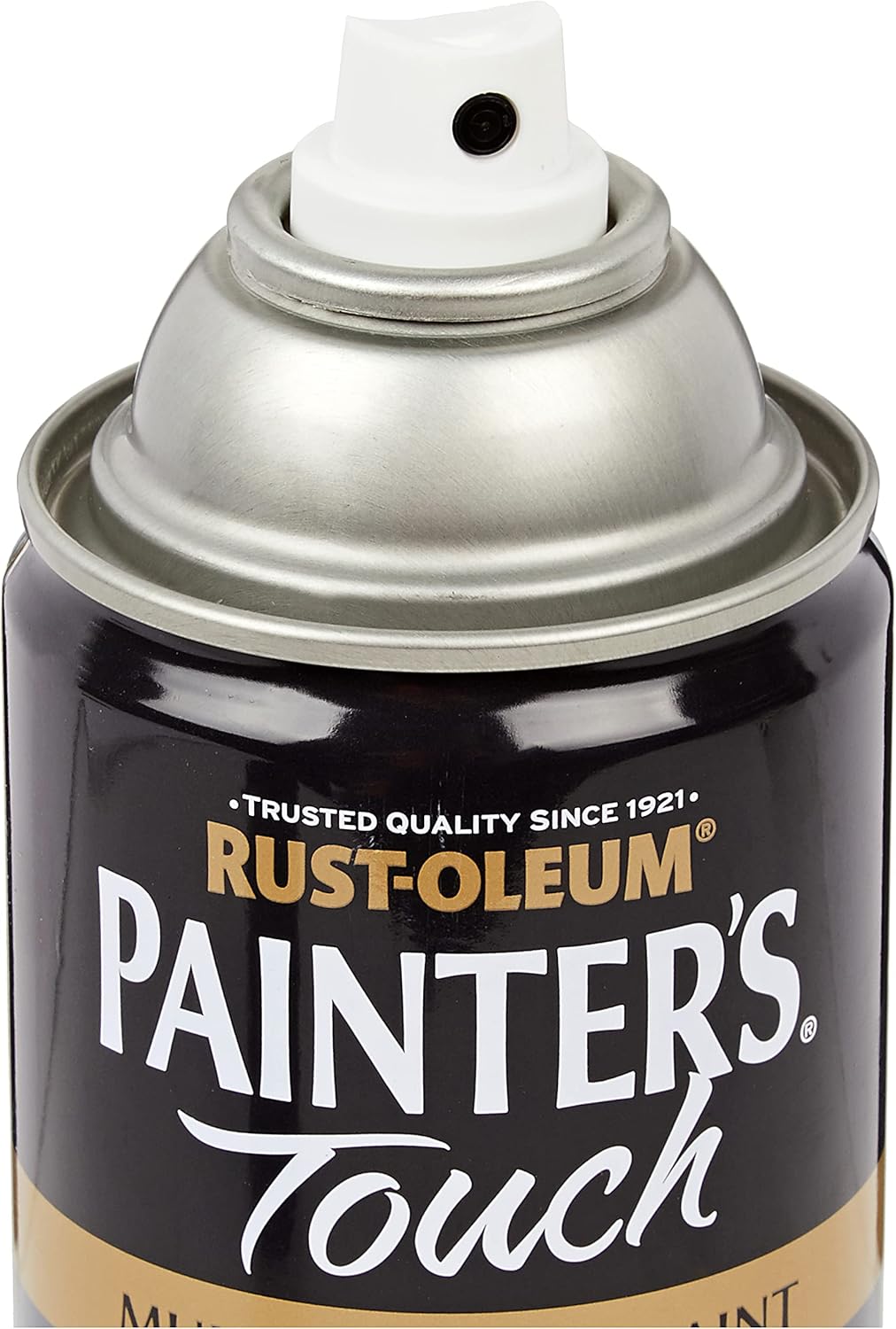 Rustoleum Painter Touch Aerosol Dg/Gls 400ml
