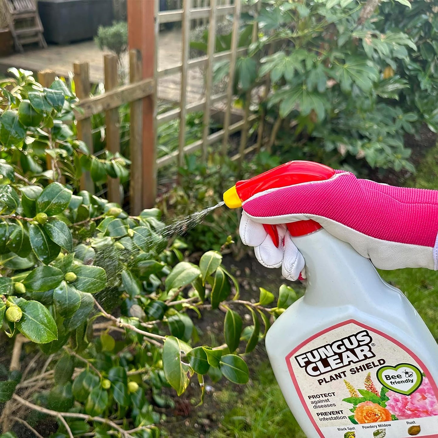 FungusClear Plant Shield