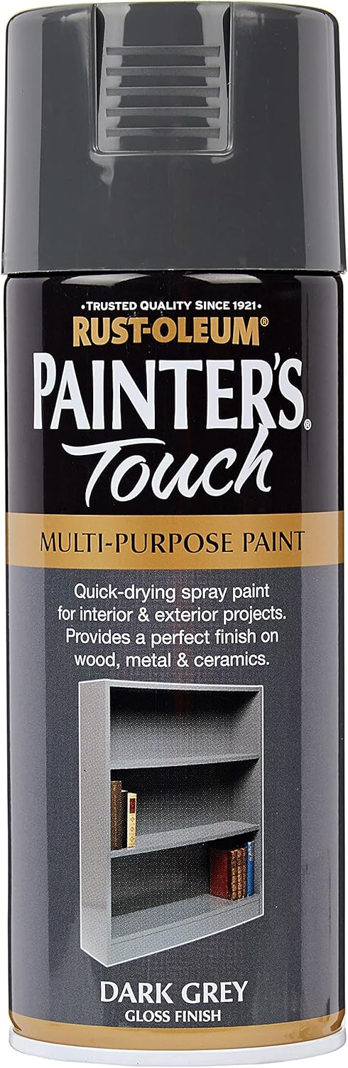 Rustoleum Painter Touch Aerosol Dg/Gls 400ml