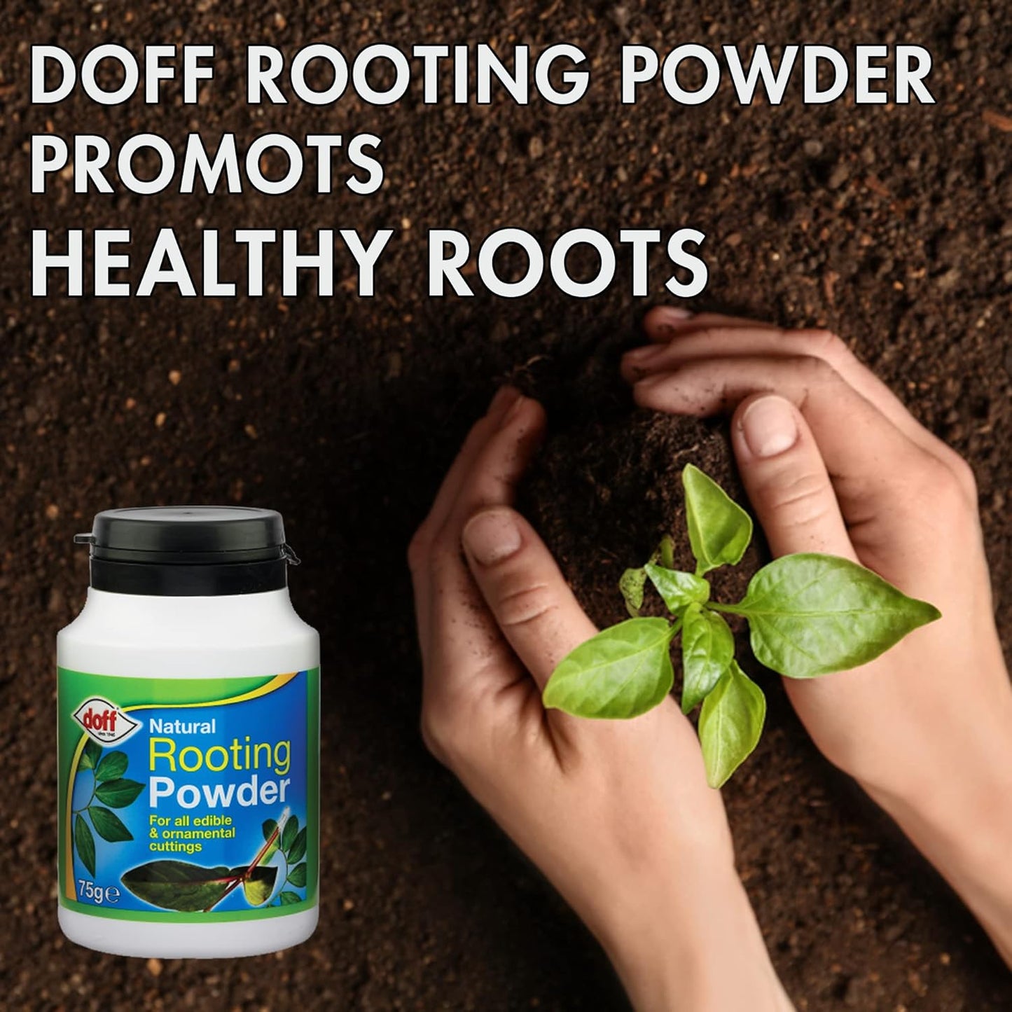 Doff Natural Rooting Powder