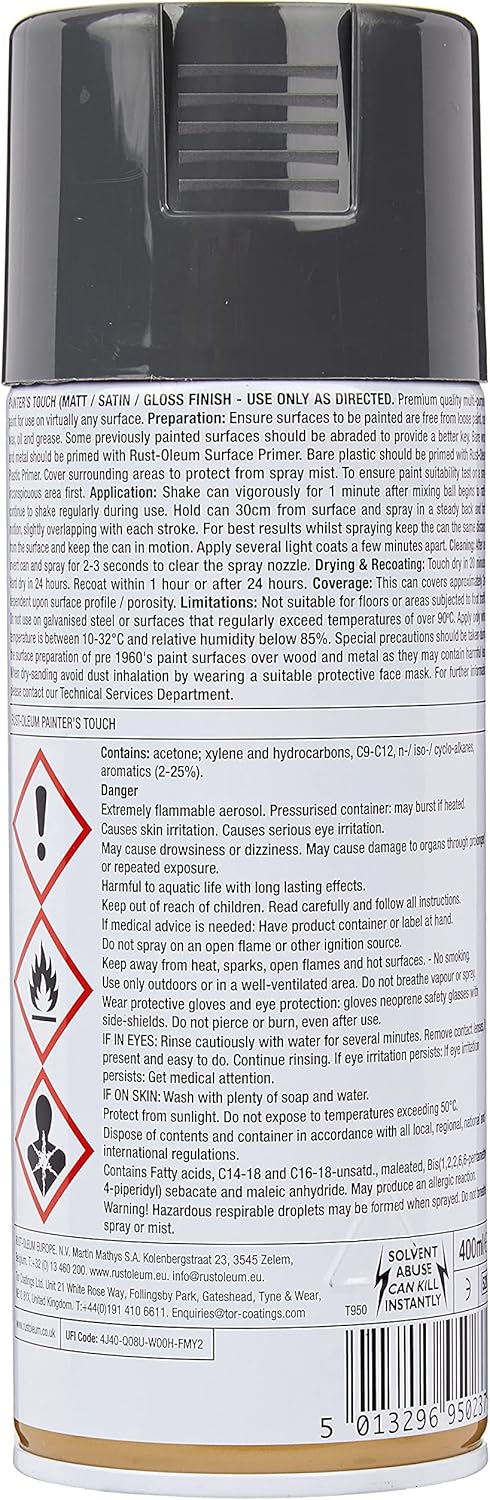 Rustoleum Painter Touch Aerosol Dg/Gls 400ml