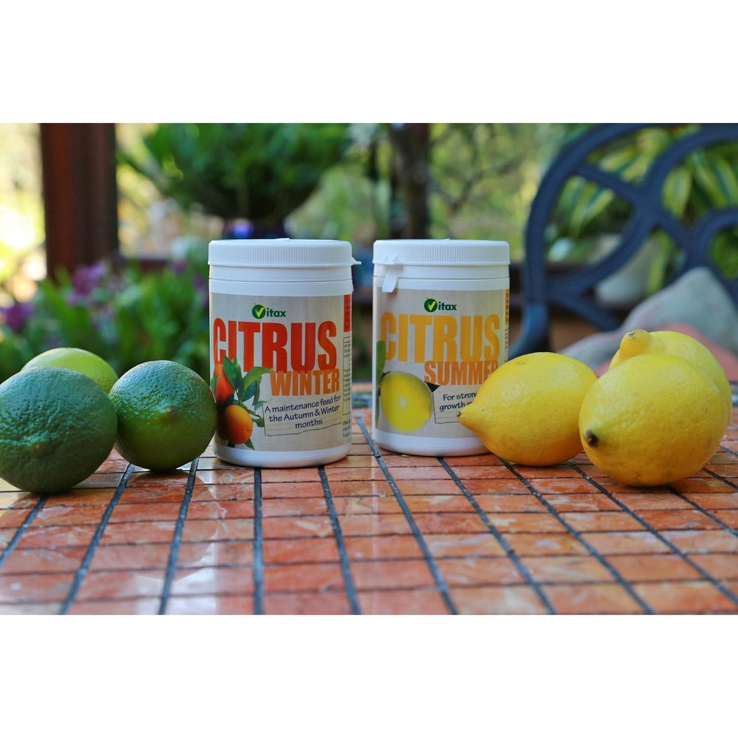 Vitax Citrus Feed - Summer