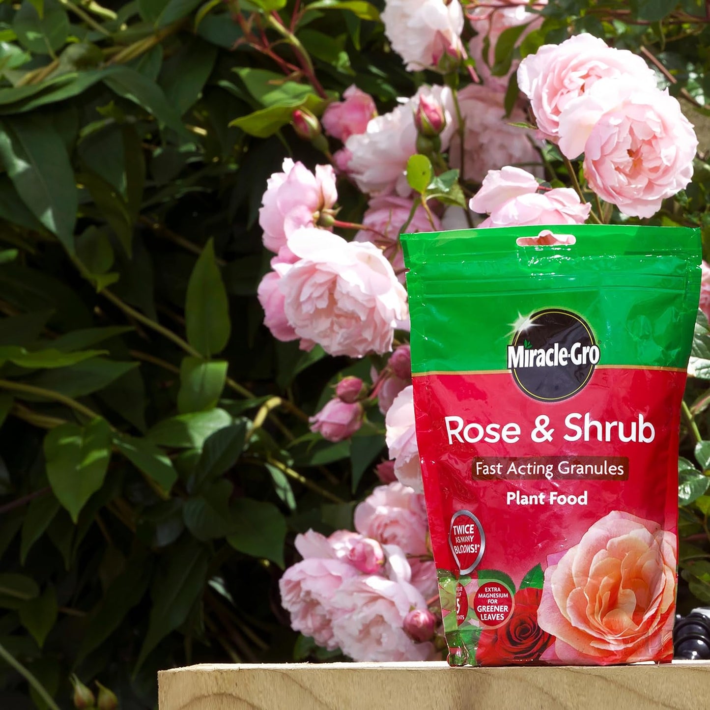 Miracle-Gro® Rose & Shrub Plant Food