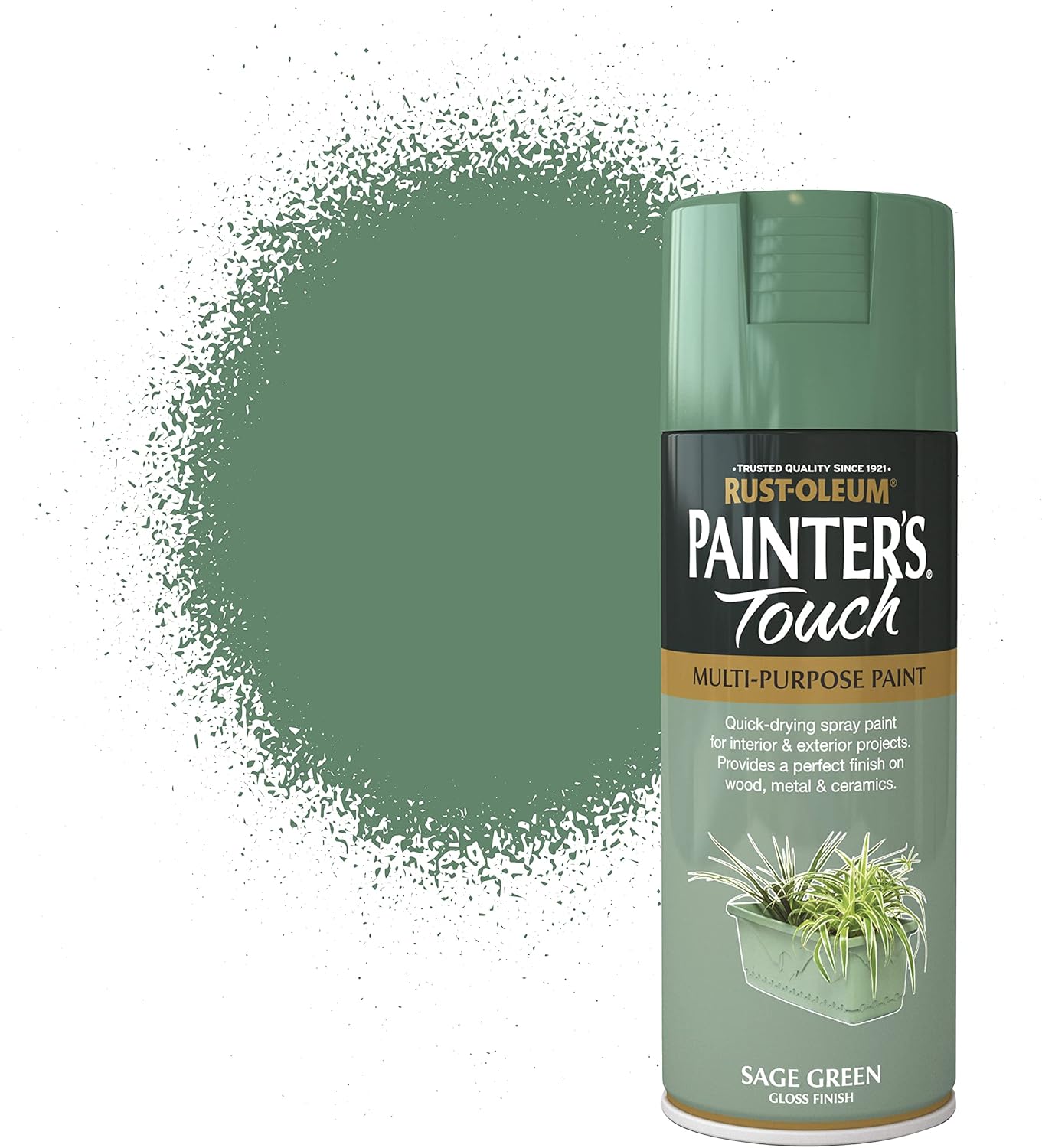 Rustoleum Painter Touch Aerosol Sg/Gls 400ml