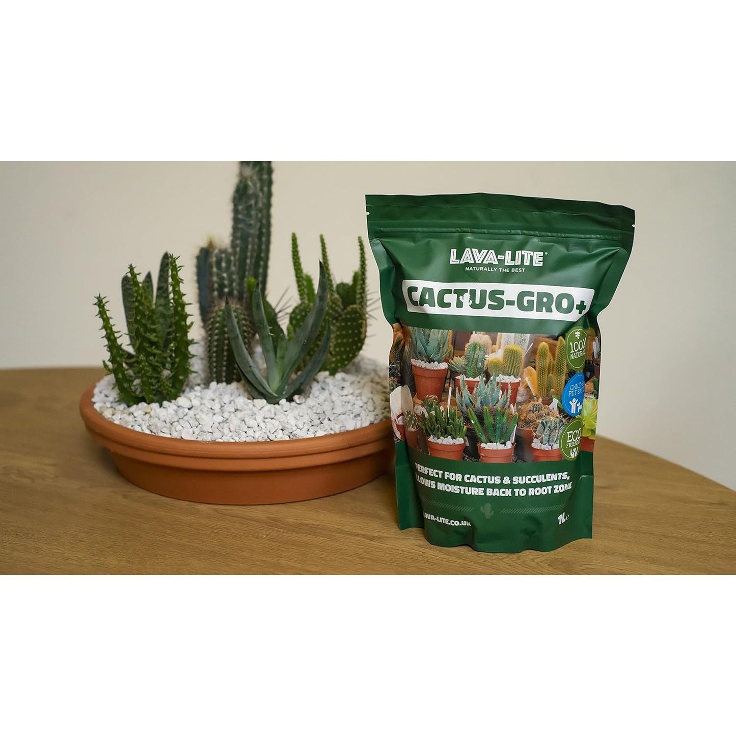 LAVA-LITE Cactus - Gro+