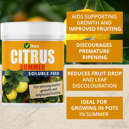 Vitax Citrus Feed - Summer