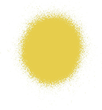 Rustoleum Painters Touch Aerosol Y/Gls 400ml