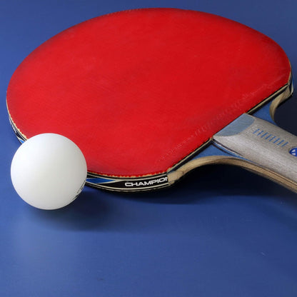 Fun Sport Table Tennis Balls