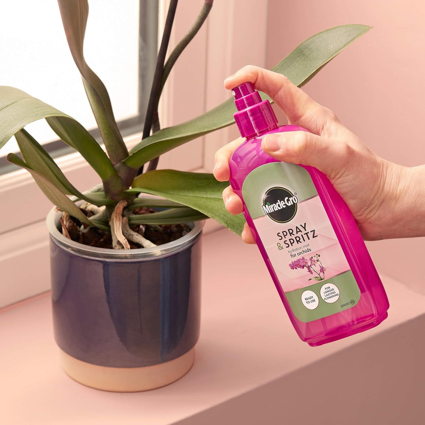 Miracle-Gro® Spray & Spritz Orchid