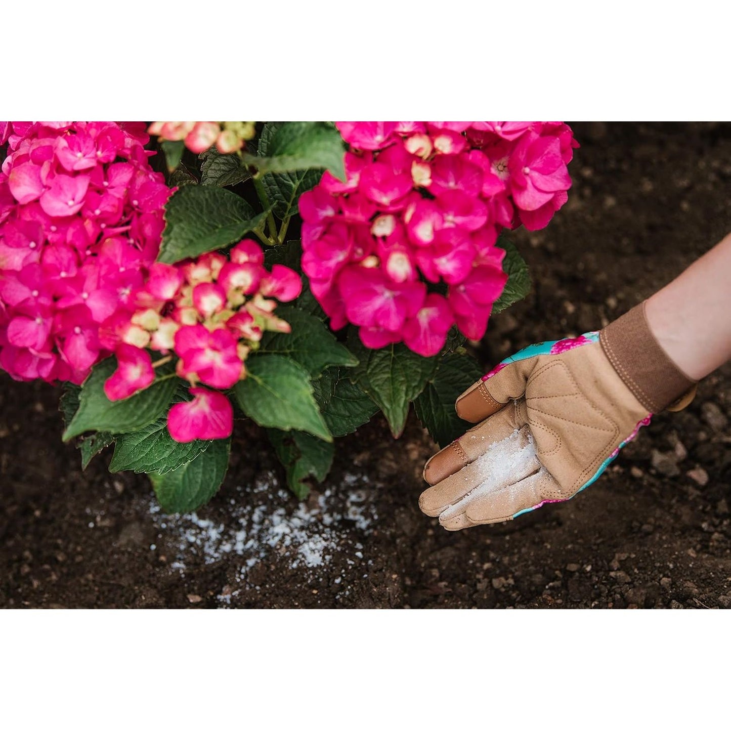 Vitax Hydrangea Colourant