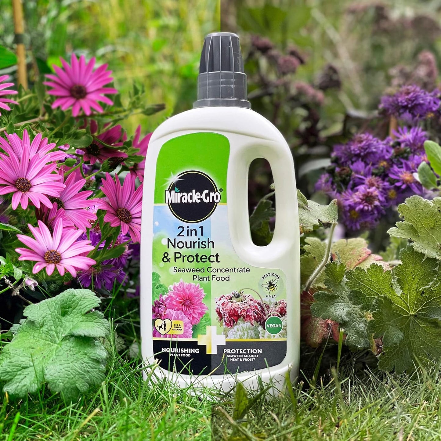 Miracle-Gro® Nourish & Protect Seaweed Plant Food