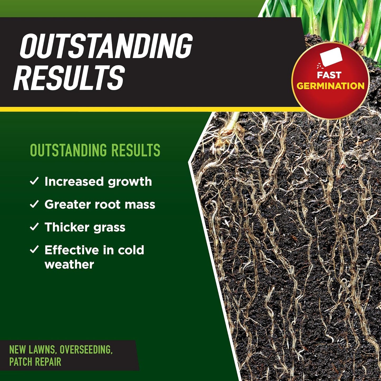 Power Up Superfast Lawn Seed With Nitro Coat