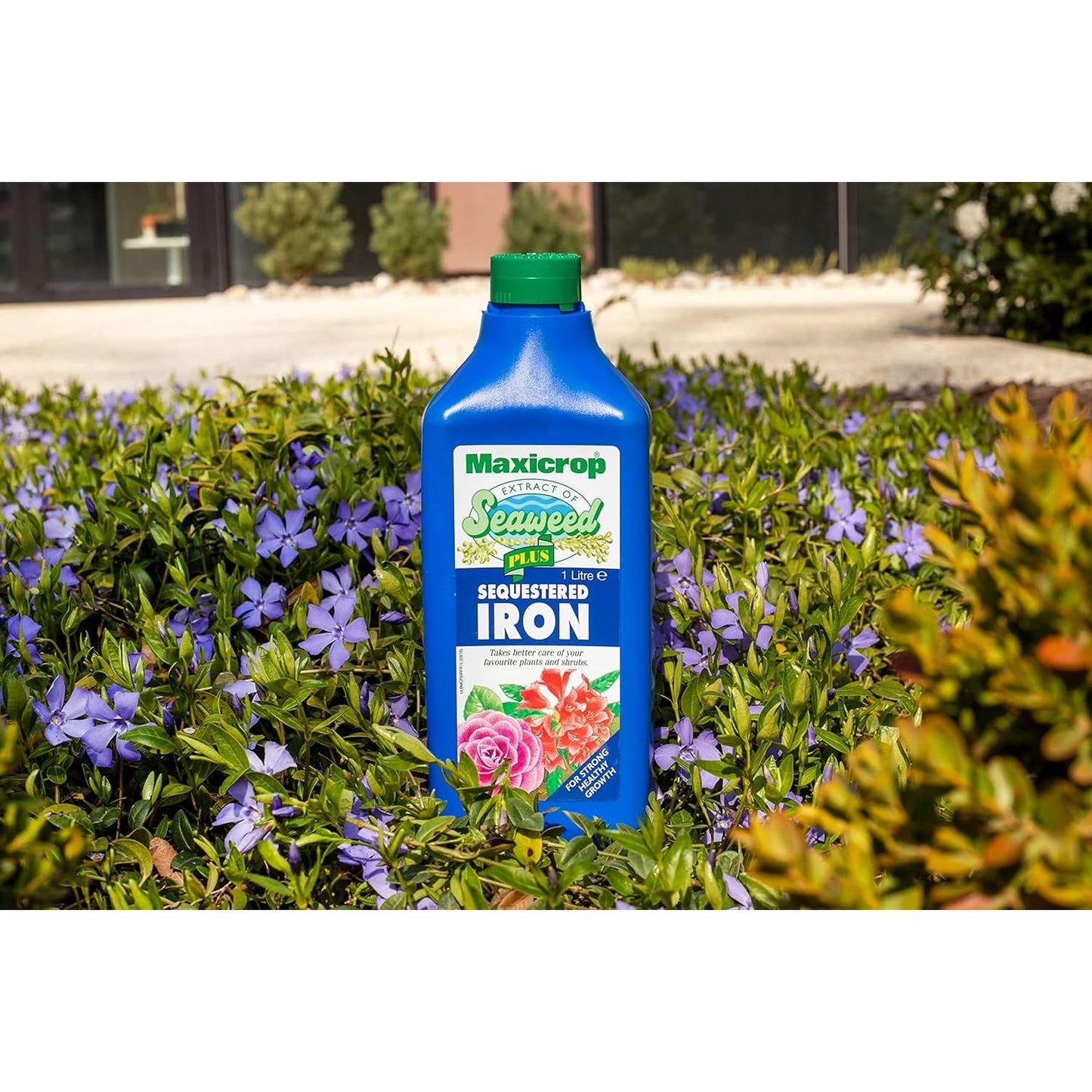 Maxicrop Plus Sequestered Iron