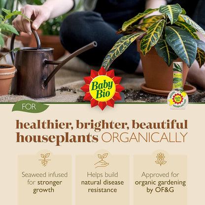 Baby Bio Organic Houseplant Food