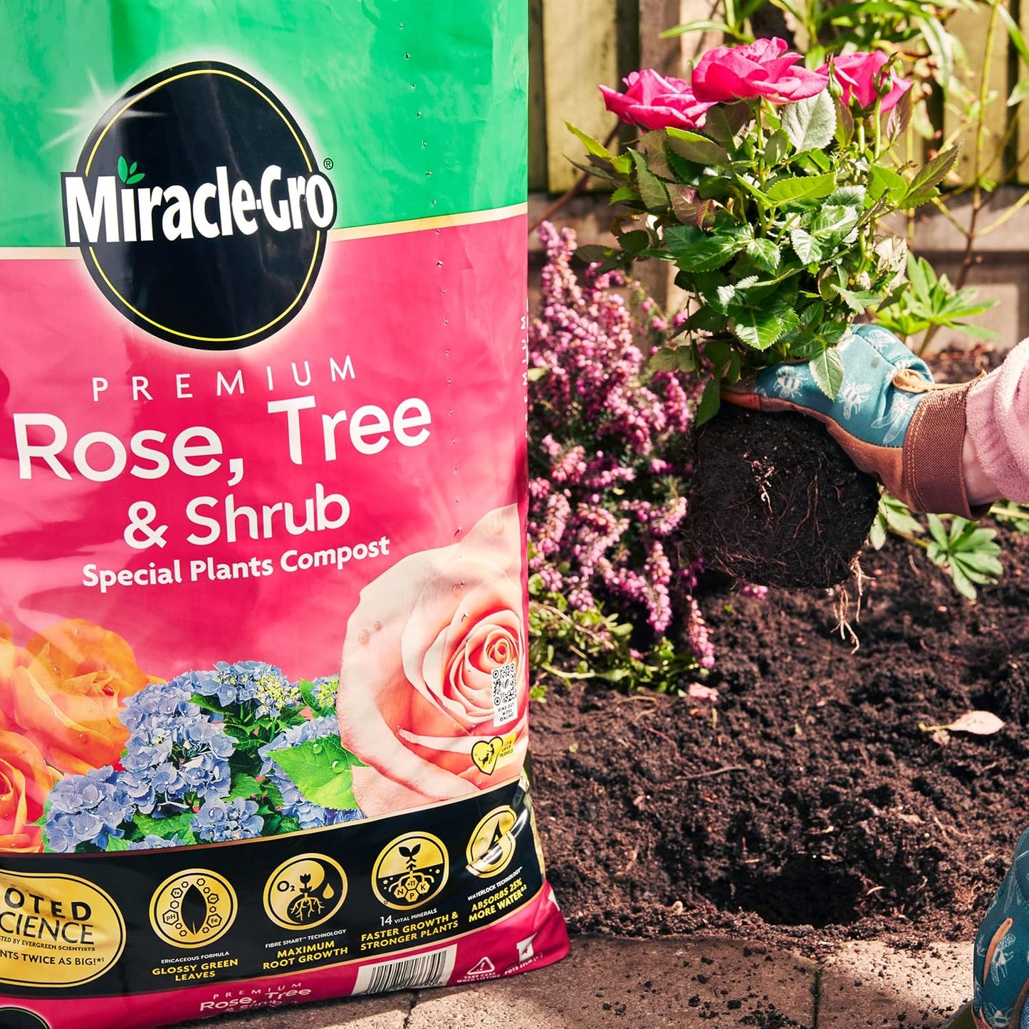 Miracle-Gro® Peat Free Rose, Tree & Shrub Compost