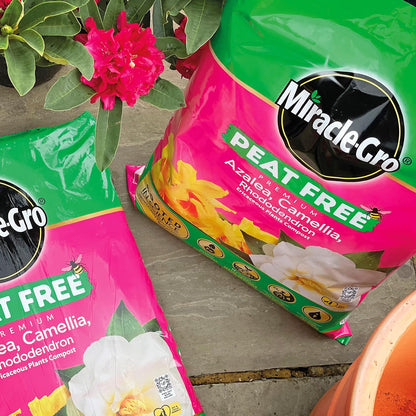 Miracle-Gro® Azalea, Camellia, Rhododendron Compost