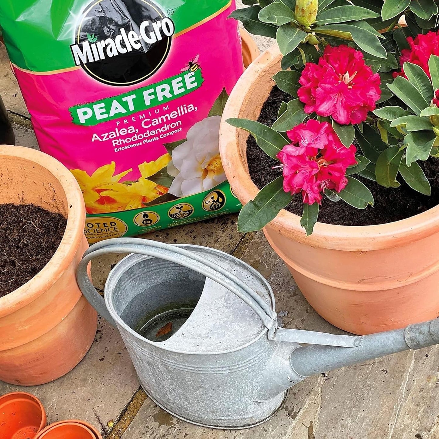 Miracle-Gro® Peat Free Ericaceous Compost