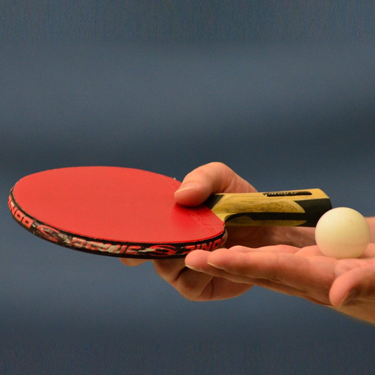 Fun Sport Table Tennis Balls