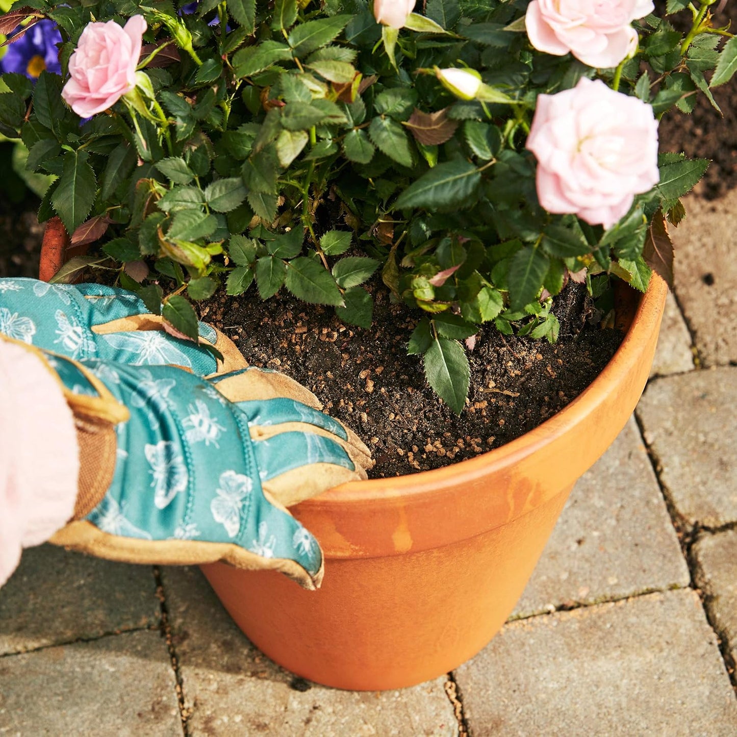 Miracle-Gro® Performance Organics All Purpose Plant Feed