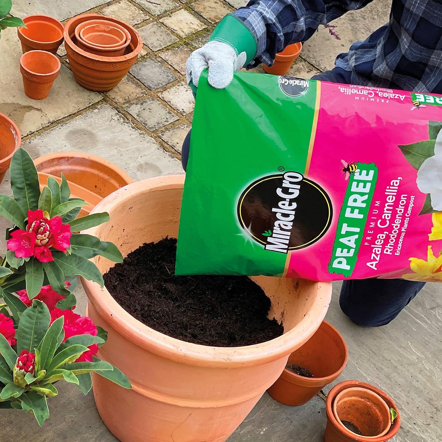Miracle-Gro® Azalea, Camellia, Rhododendron Compost