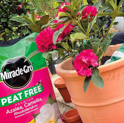 Miracle-Gro® Peat Free Ericaceous Compost