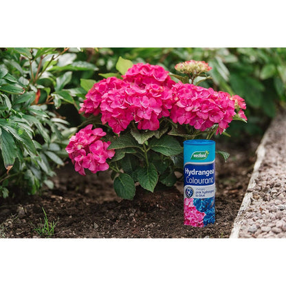 Vitax Hydrangea Colourant