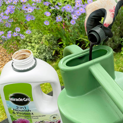 Miracle-Gro® Nourish & Protect Seaweed Plant Food