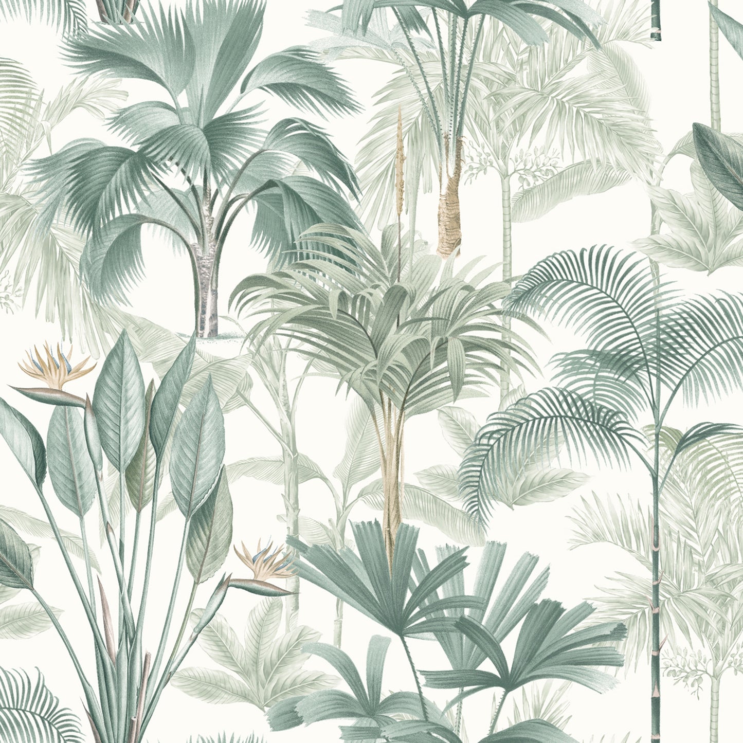 Arthouse King Palm Green Wallpaper