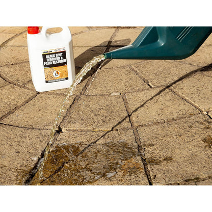 Spot On Black Spot Remover & Patio Restorer