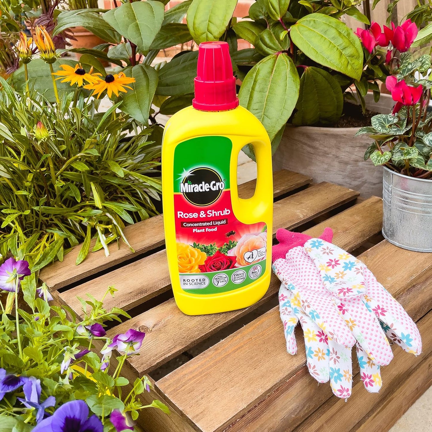 Miracle-Gro® Rose & Shrub Concentrated Plant Food
