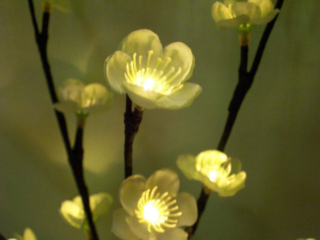 Kaemingk White LED Flower Lights