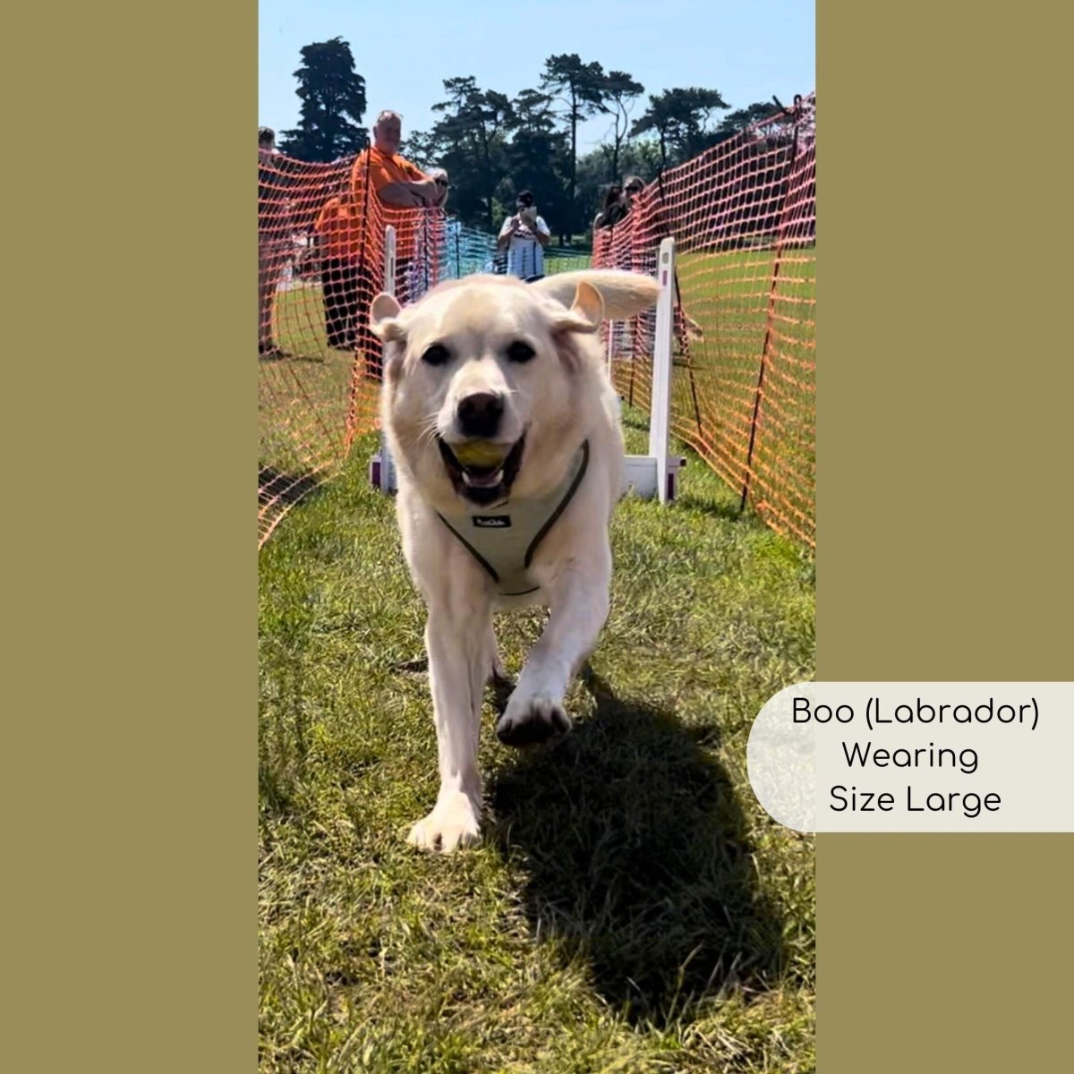 Tweed Adjustable Harness - Sage