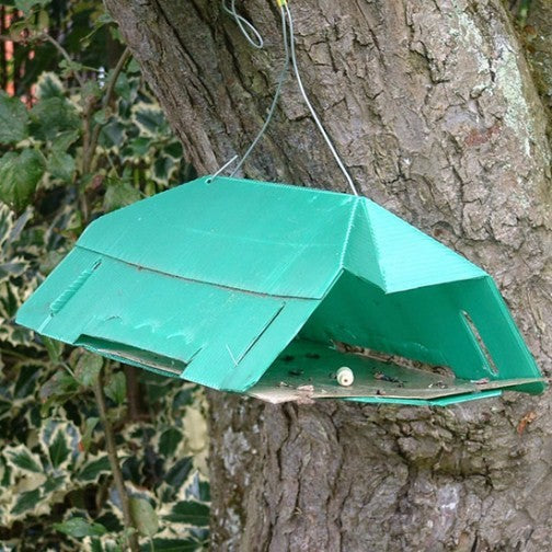 Agralan Codling Moth Trap