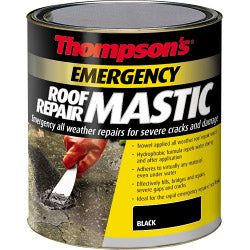Mastic de réparation d'urgence pour toiture de Thompson