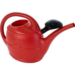 Ward Watering Can 10L