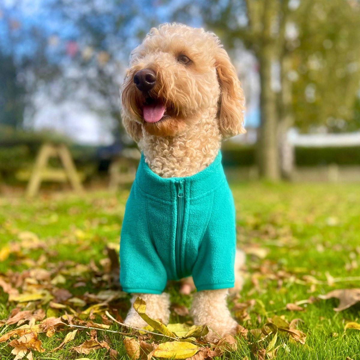Dog Fleece Coat - Green