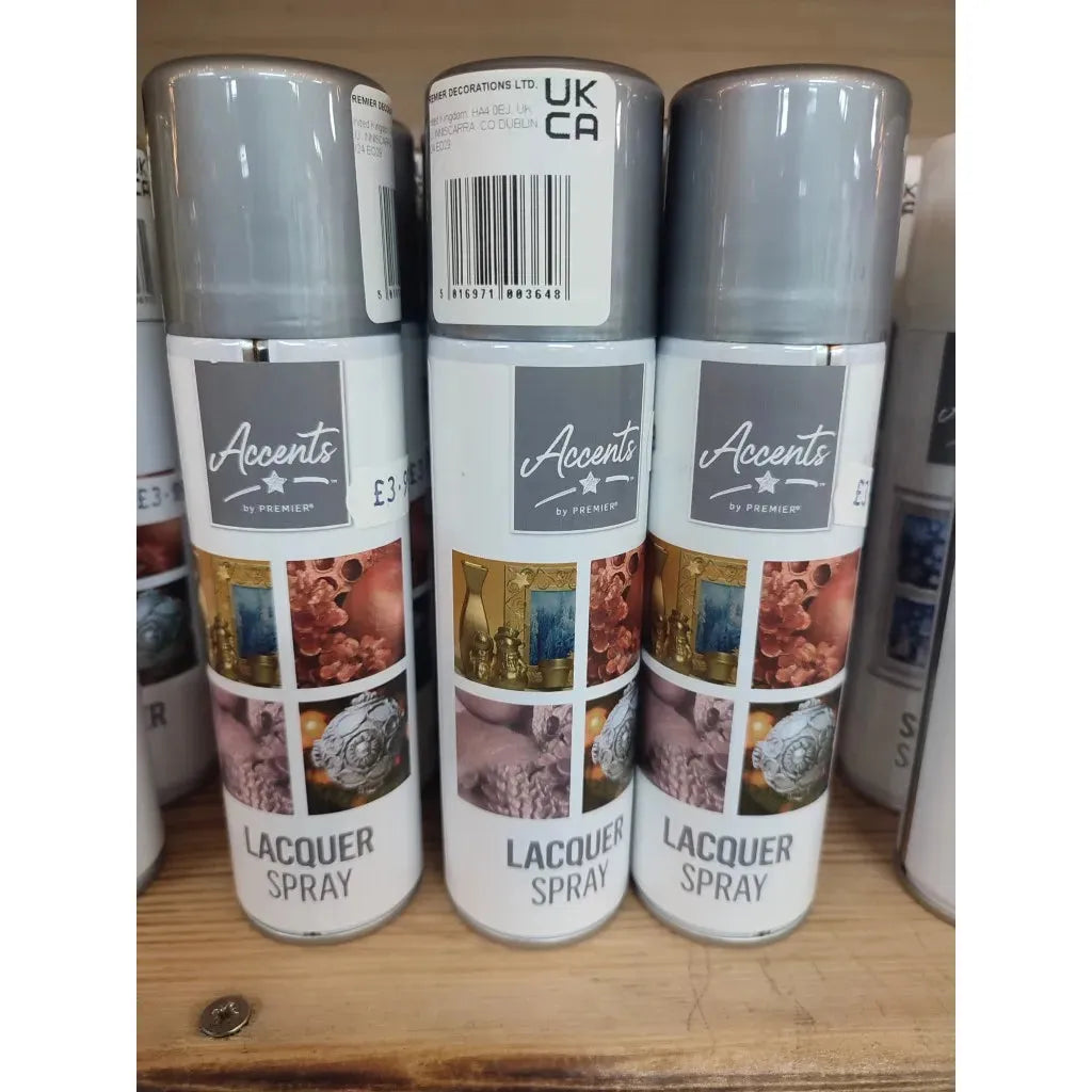 Premier Silver Decorative Lacquer 150ml