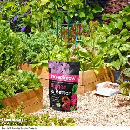 Incredigrow Bigger Better Plant Food 500g