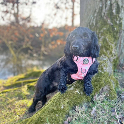 Rugged Rover™ Harness - Peachy Hearts