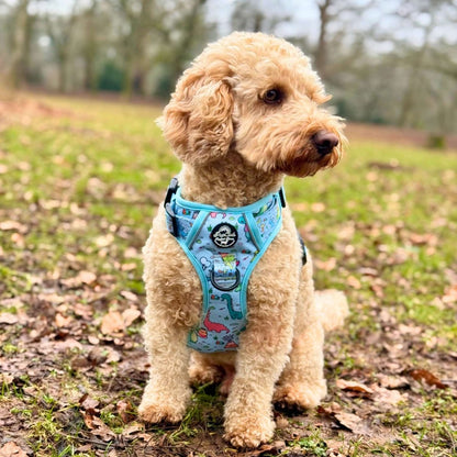 Rugged Rover™ Harness - Jurassic Party