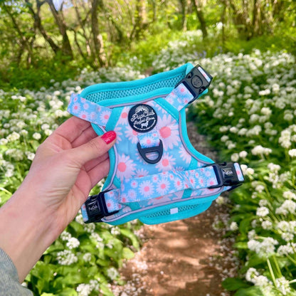 Rugged Rover™ Harness - Pastel Daisy