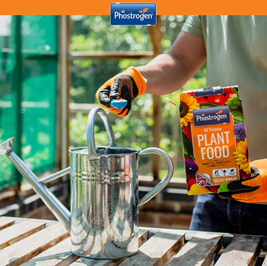 Phostrogen All Purpose Plant Food