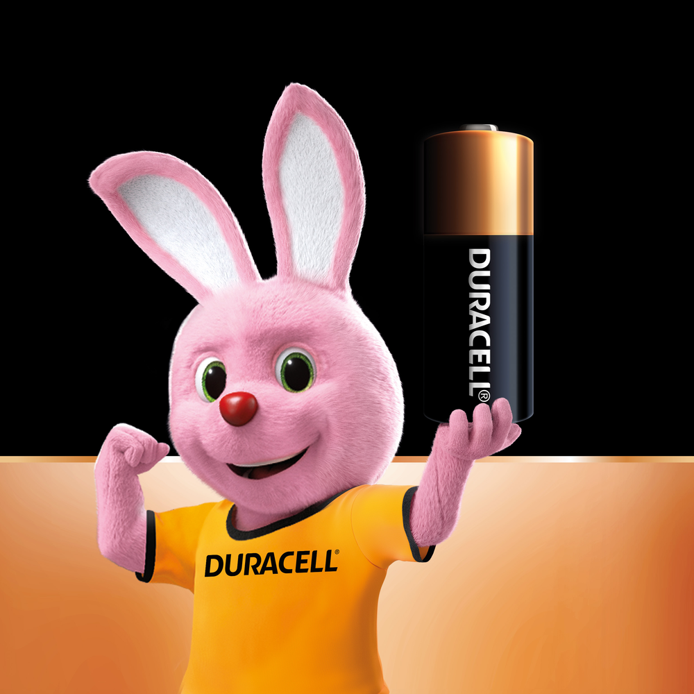 Duracell Alarm Battery Pack 2