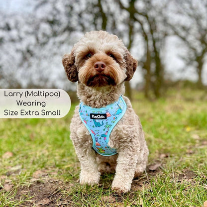 Adjustable Harness - Jurassic Party